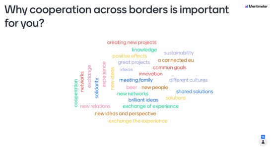 2nd virtual networking meeting and European Cooperation Day celebration