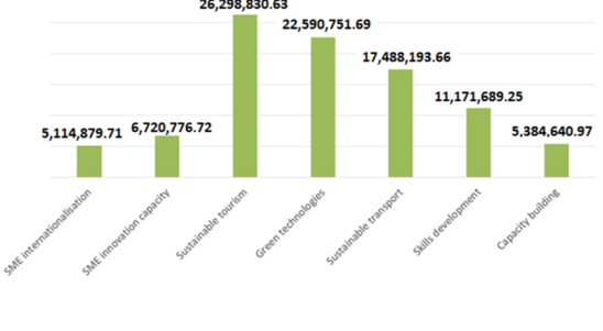 Annual Implementation Report 2020 approved